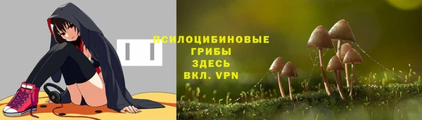 винт Липки