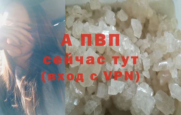 винт Липки