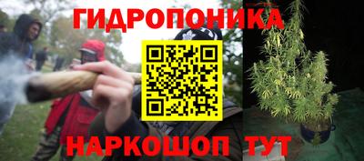каннабис Гатчина