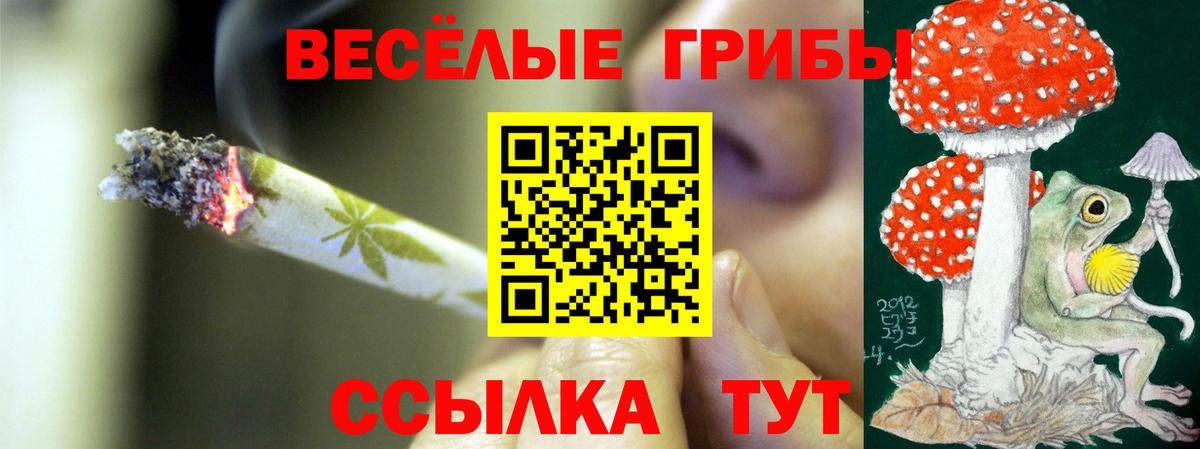 Псилоцибиновые грибы прущие грибы Переславль-Залесский