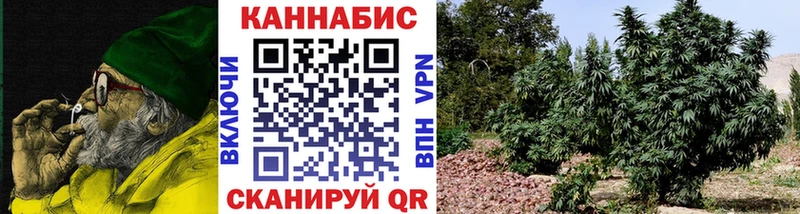 как найти наркотики  Переславль-Залесский  Конопля THC 21% 